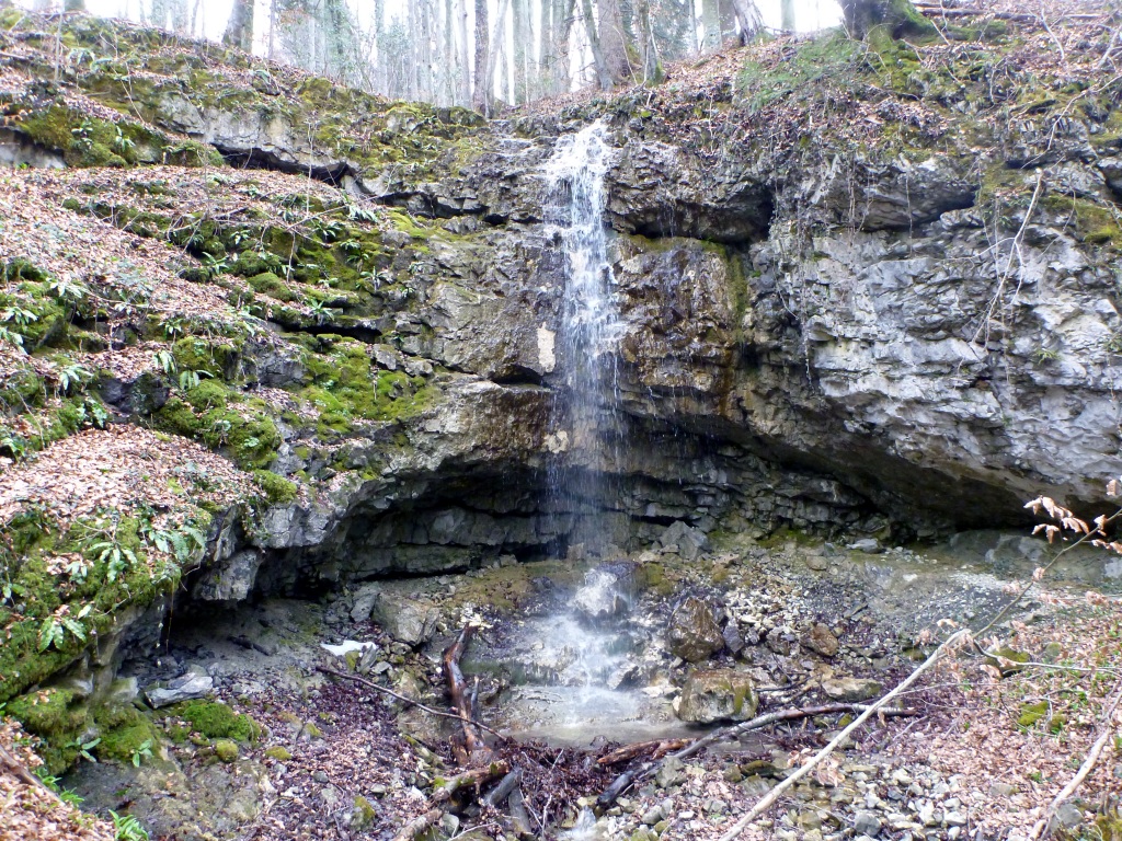 Schätzli Spätzli Plätzli